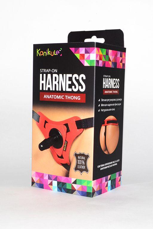 Красно-черные трусики с плугом Kanikule Strap-on Harness Anatomic Thong-8433