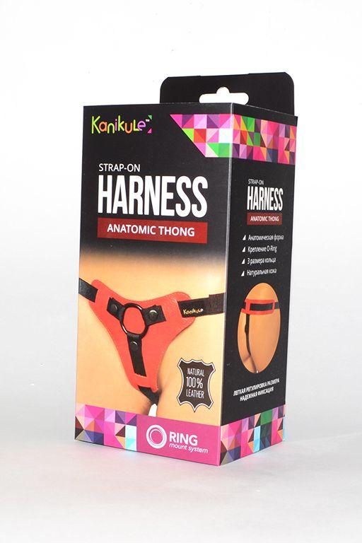 Красно-чёрные трусики для фиксации насадок кольцом Kanikule Leather Strap-on Harness Anatomic Thong-8442
