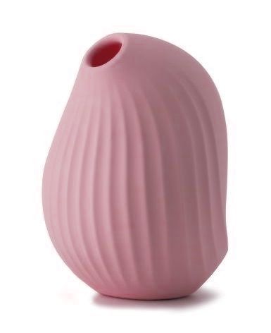 Нежно-розовый вакуум-волновой стимулятор с вибрацией и базой-ночником Cuddly Bird-