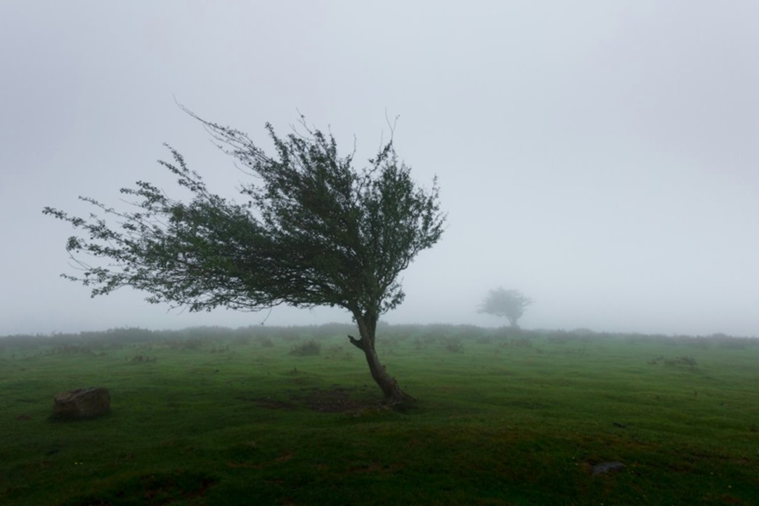купание под звёздами — романтика на природе