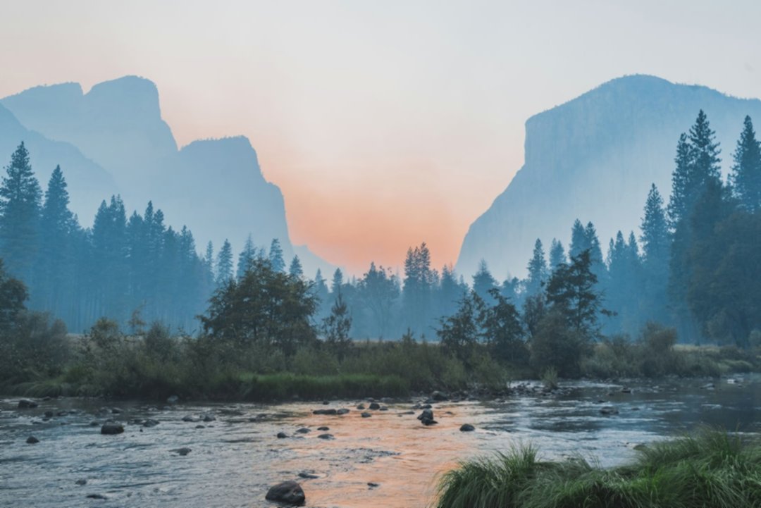 парфюм и запахи тела в сексуальном притяжении